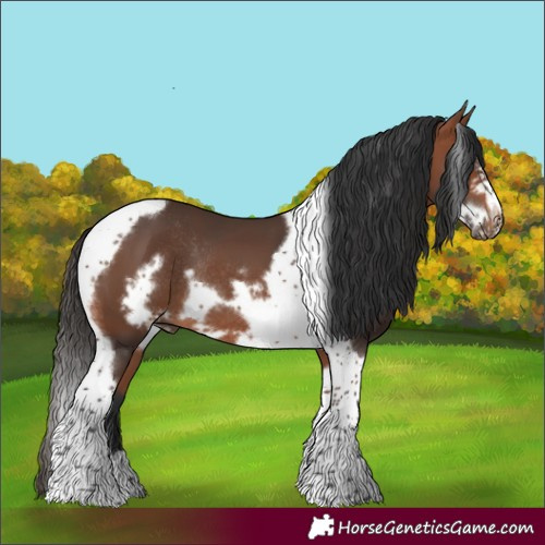 Horse Color:Bay Tobiano Frame Rabicano