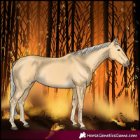 Horse Color:Palomino 