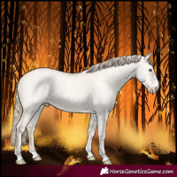 Horse Color:Perlino Dun