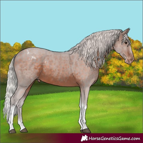 Horse Color:Silver Brown Tobiano Varnish 