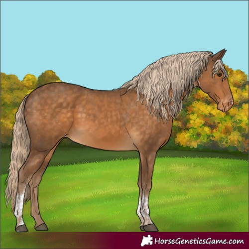 Horse Color:Chocolate Palomino Tobiano Varnish Rabicano 