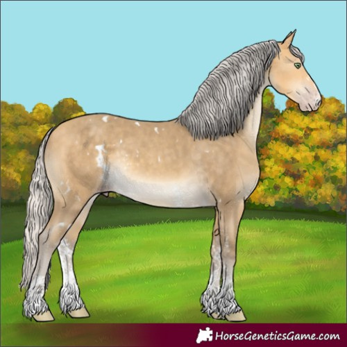 Horse Color:Unknown