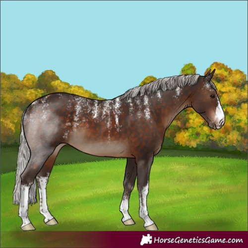 Horse Color:Powder White White Spotted Silver Brown