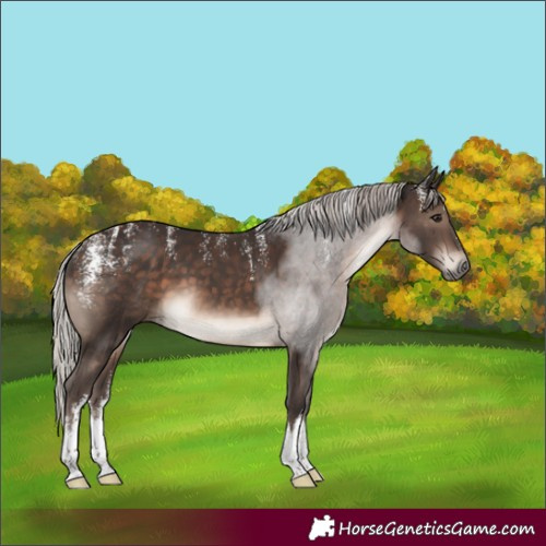 Horse Color:Powder White White Spotted Silver Brown 