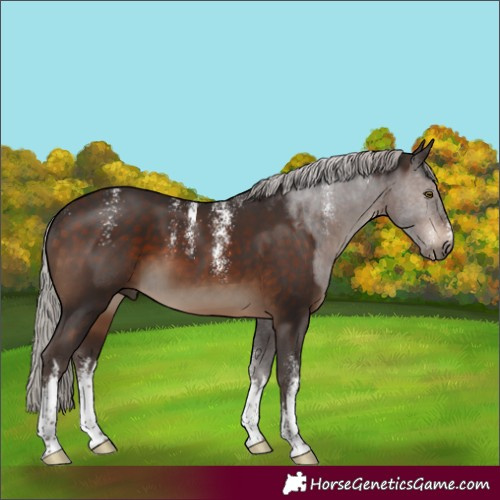 Horse Color:Powder White White Spotted Silver Brown 