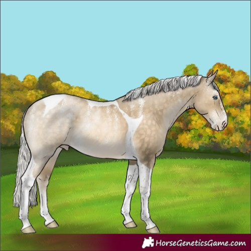 Horse Color:Powder White Silver Buckskin Snowdrop Tobiano 