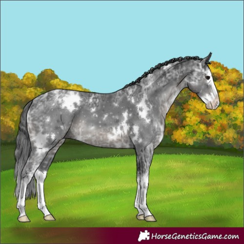 Horse Color:White Spotted Black Ice Splash 