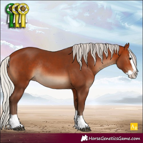 Horse Color:Silver Bay Splash Rabicano