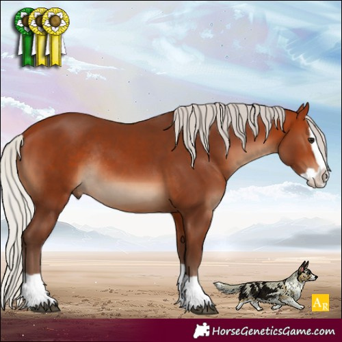 Horse Color:Silver Bay Splash Rabicano