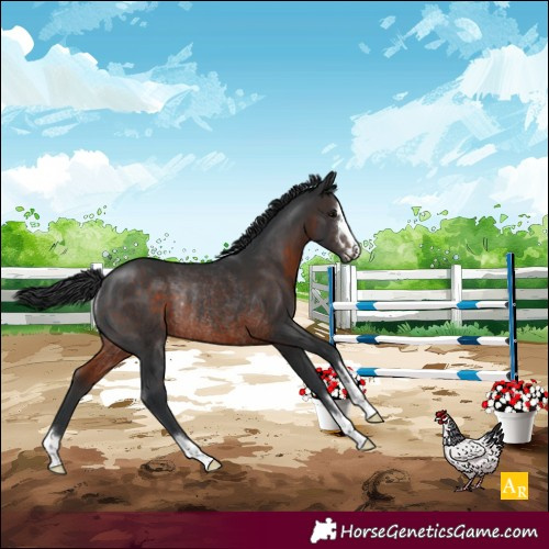Horse Color:Brown Rabicano