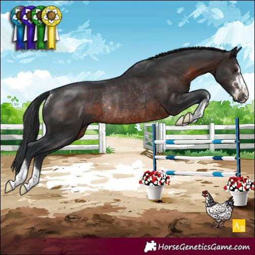 Horse Color:Brown Rabicano