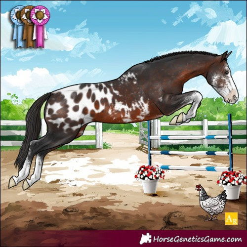 Horse Color:Brown Sabino Blanket 