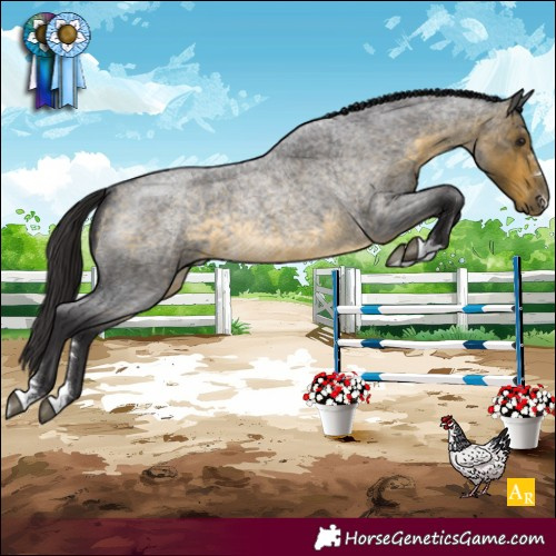 Horse Color:Buckskin Roan 
