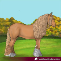 Horse Color:Chestnut Tobiano