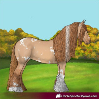 Horse Color:White Spotted Red Dun Tobiano