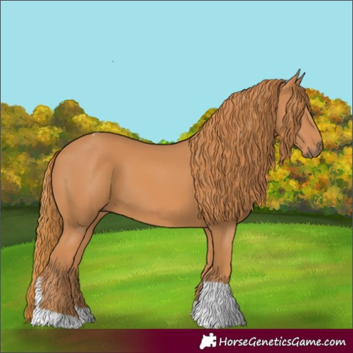 Horse Color:Chestnut Tobiano