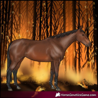 Horse Color:Brown 