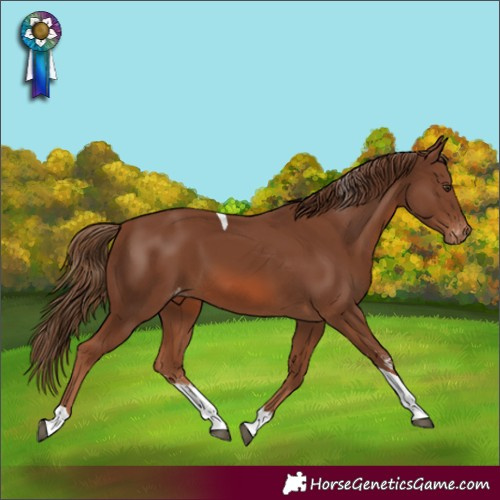 Horse Color:Chestnut Sabino Tobiano Skewed LP Spotted 