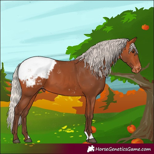 Horse Color:Silver Bay Snowcap
