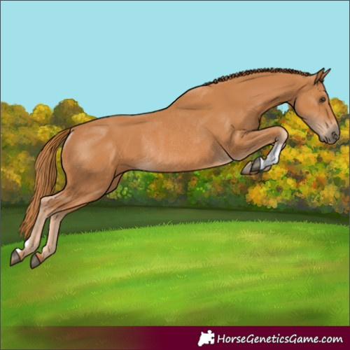 Horse Color:Chestnut Rabicano 