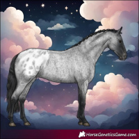 Horse Color:Blue Roan Blanket 