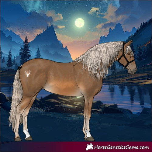 Horse Color:Chocolate Palomino