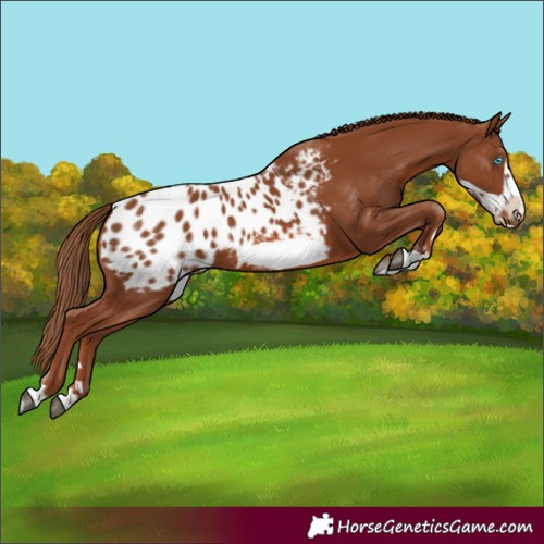 Horse Color:Chestnut Frame Blanket