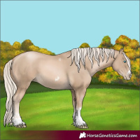 Horse Color:Chocolate Palomino Pearl Tobiano Frame and Chocolate Palomino Pearl Tobiano Frame