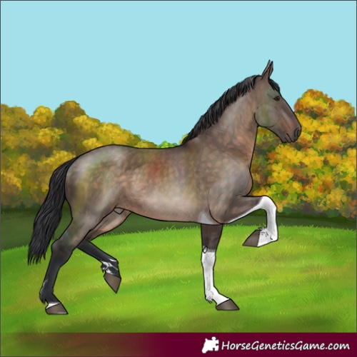 Horse Color:Brown Dun Tobiano Rabicano 