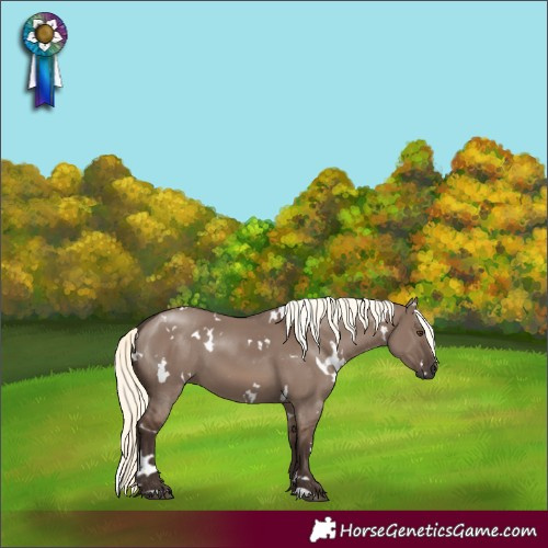 Horse Color:White Spotted Liver Red Dun Mushroom