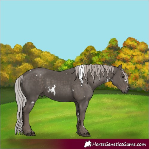 Horse Color:White Spotted Silver Black Mushroom 