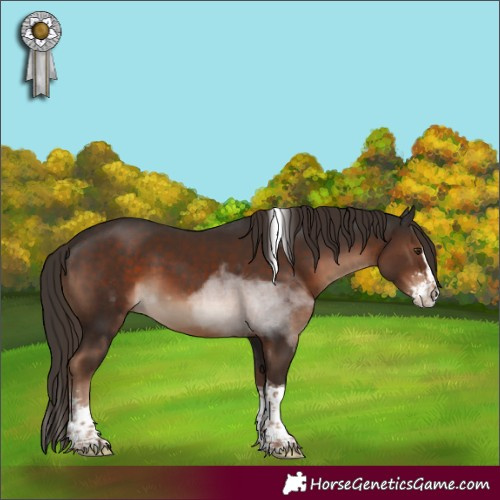 Horse Color:Liver Chestnut Sabino Splash Tobiano