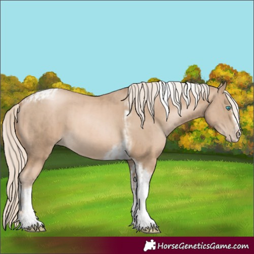 Horse Color:Chocolate Palomino Pearl Tobiano Frame and Chocolate Palomino Pearl Splash Tobiano Frame