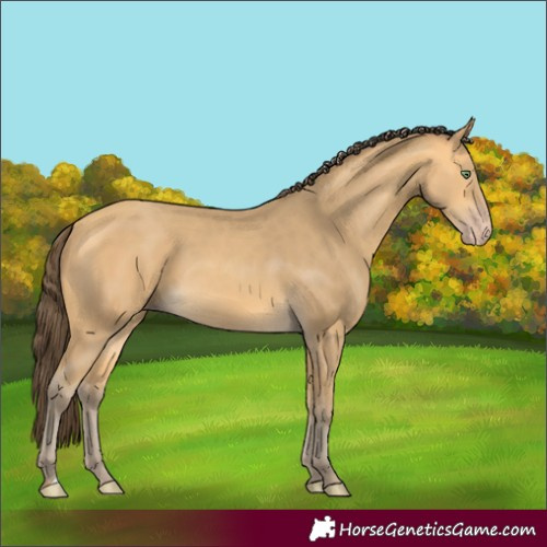 Horse Color:Amber Cream Champagne