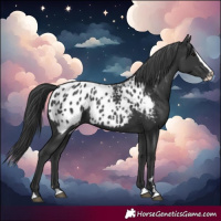 Horse Color:Black Splash Blanket 