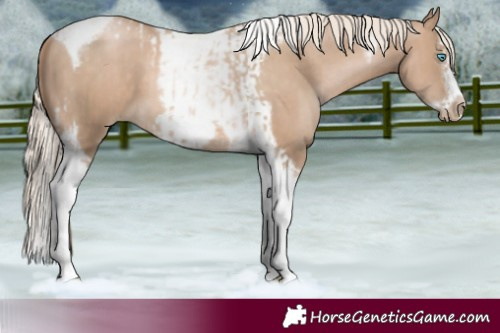 Horse Color:Chocolate Palomino Pearl Tobiano Frame  and Chocolate Palomino Pearl Splash Tobiano Frame 