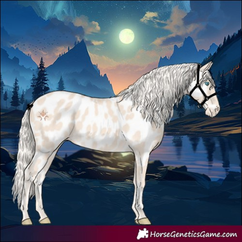 Horse Color:Cremello Near Leopard 