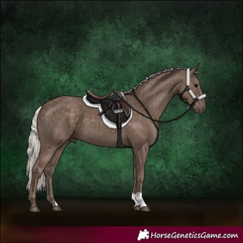 Horse Color:Silver Black