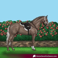 Horse Color:Silver Black 