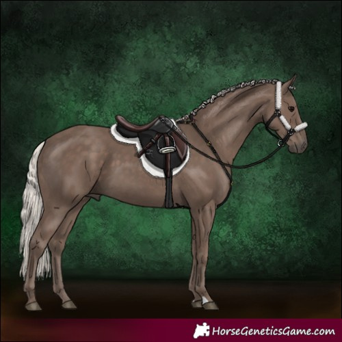 Horse Color:Silver Black 