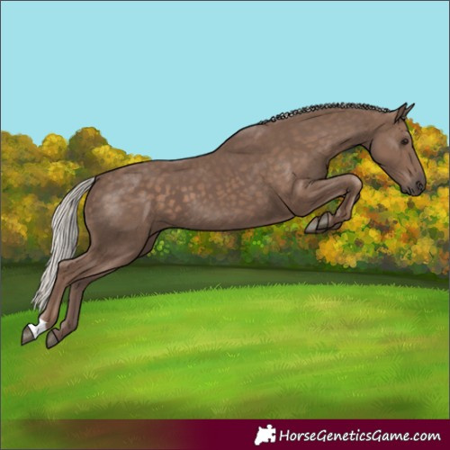 Horse Color:Silver Black