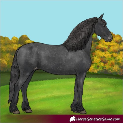 Horse Color:Black Varnish