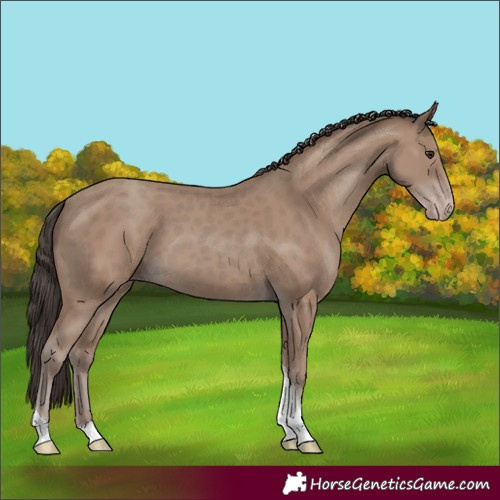 Horse Color:Classic Champagne Tobiano