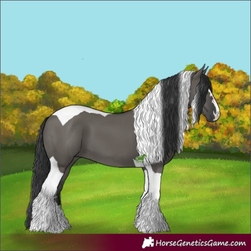 Horse Color:Grullo Tobiano