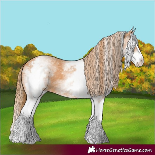 Horse Color:White Spotted Chestnut Splash 
