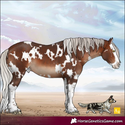 Horse Color:White Spotted Silver Brown Splash