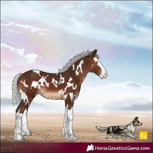 Horse Color:White Spotted Silver Brown Splash