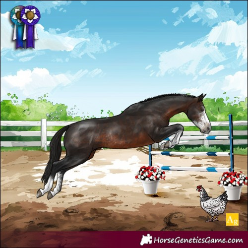 Horse Color:Gray Bay Sabino Tobiano Rabicano 