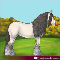 Horse Color:Amber Cream Champagne