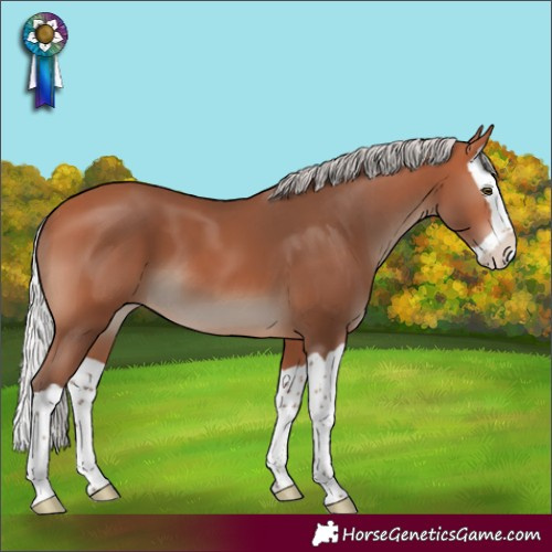 Horse Color:Silver Bay Mushroom Splash